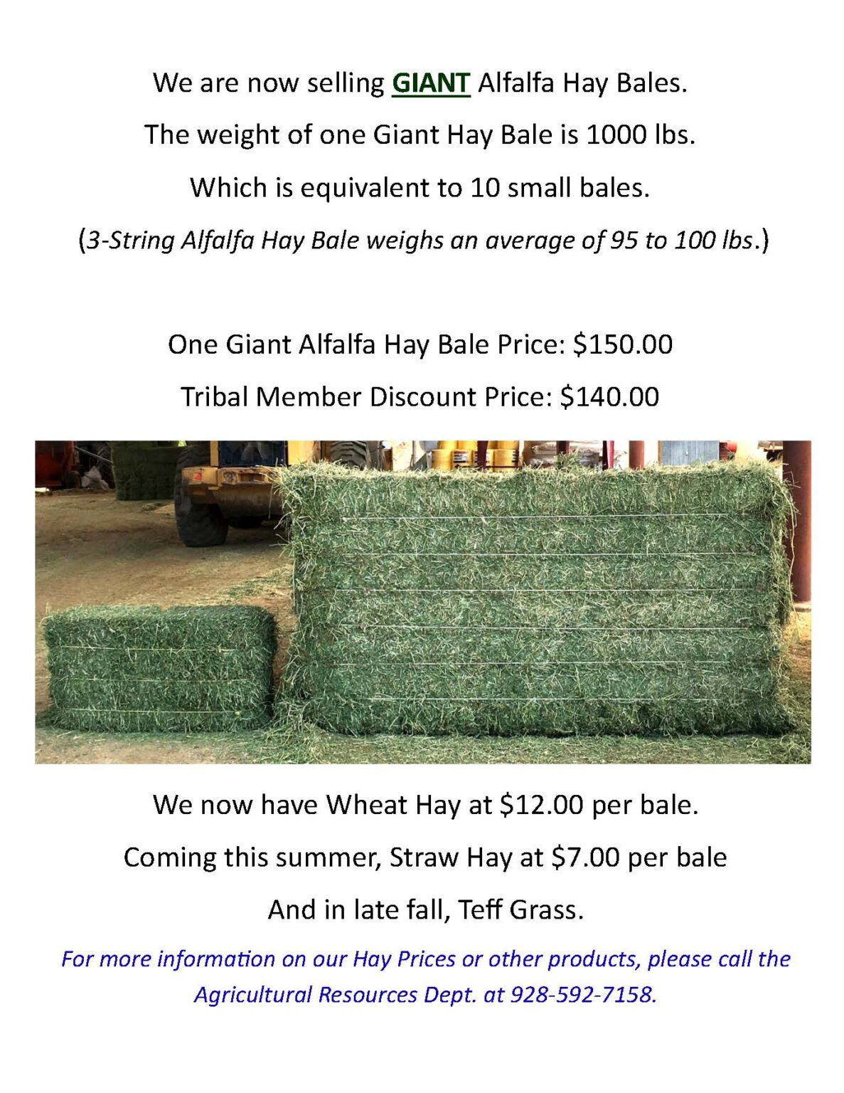 GIANT Alfalfa Hay Bales for Sale YavapaiApache Nation